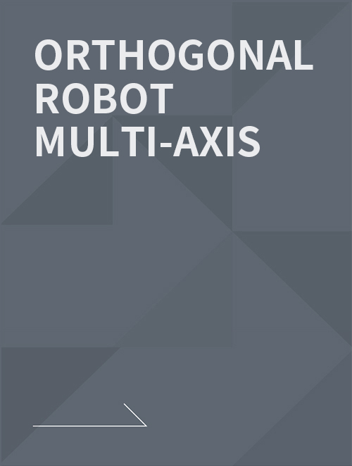 ORTHOGONAL ROBOT MULTI-AXIS
